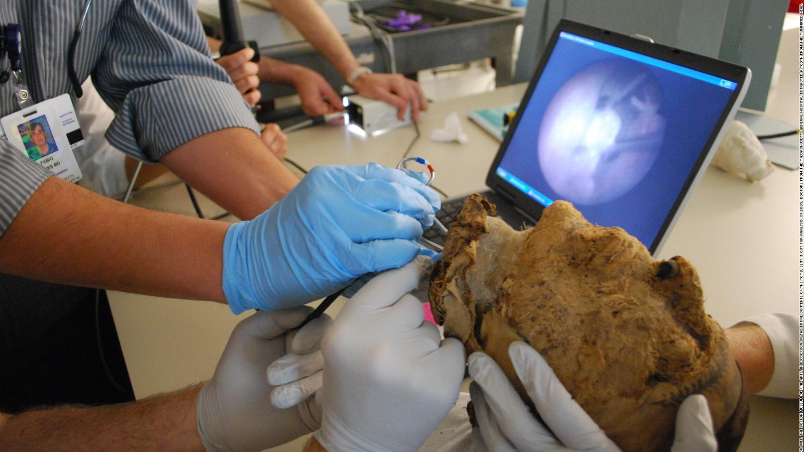 Fbi Cracks The Case Of The 4 000 Year Old Mummy S Head Cnn