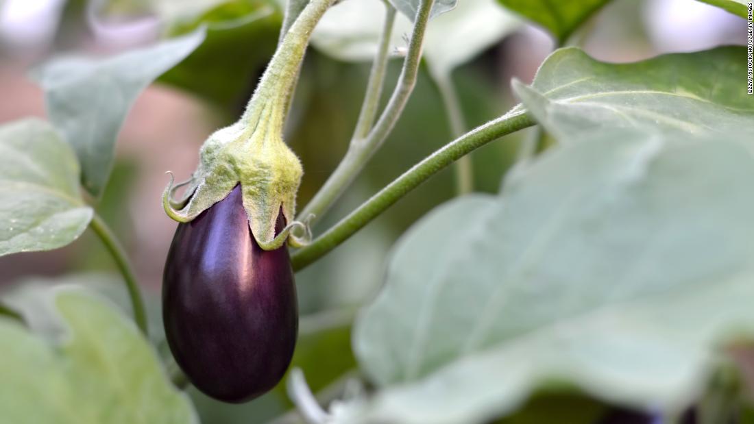 Eggplant showed themselves guilty, at worst, of contamination with three types of pesticides, according to the group. Best of all, almost three out of every four tested eggplants contained no pesticides whatsoever. Thus, eggplants ranked last on the top 10 within the &quot;Clean 15&quot; list.