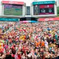 001 Hong Kong Sevens Fans 