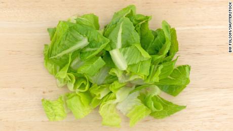 Deadly E. coli outbreak in lettuce traced to contaminated water