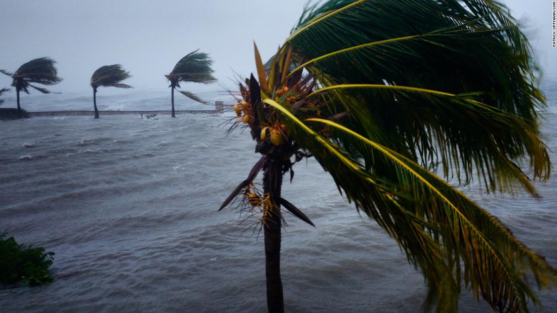 Hurricane Irma blows down palm trees in Caibairién, Cuba, as the Category 5 storm ravaged much of Caribbean in early September of 2017. The storm wrecked large parts of Cuba&#39;s agricultural sector and left thousands with damaged homes. Even though Cubans are proud of their well-organized hurricane preparedness system, Irma overwhelmed the country&#39;s efforts. At least 10 people died on the island as a result the storm.