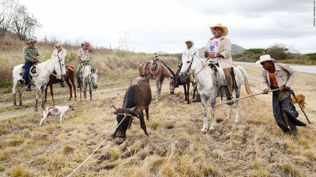 Cuban cowboys rope a steer near Santa Clara, Cuba. Despite having more land than any other island in the Caribbean, Cuba imports most of its food. The Cuban agriculture sector has struggled since the collapse of the Soviet Union and is plagued by government inefficiency and shortages. Farmers lack basic equipment and all cattle belong to the state.