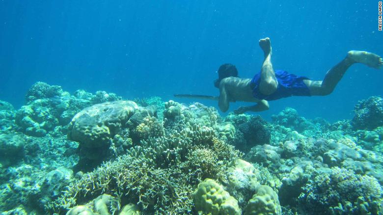 Why Bajau divers can hold their breath for minutes