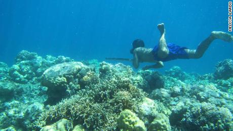 Diving deep could be in a &#39;sea nomad&#39;s&#39; DNA