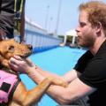 04 prince harry chris jackson getty INTL