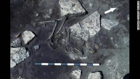 Skeletons tell story of &#39;truly horrifying&#39; fifth-century massacre 