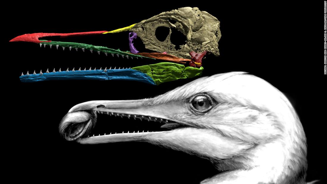 duck beak dinosaur