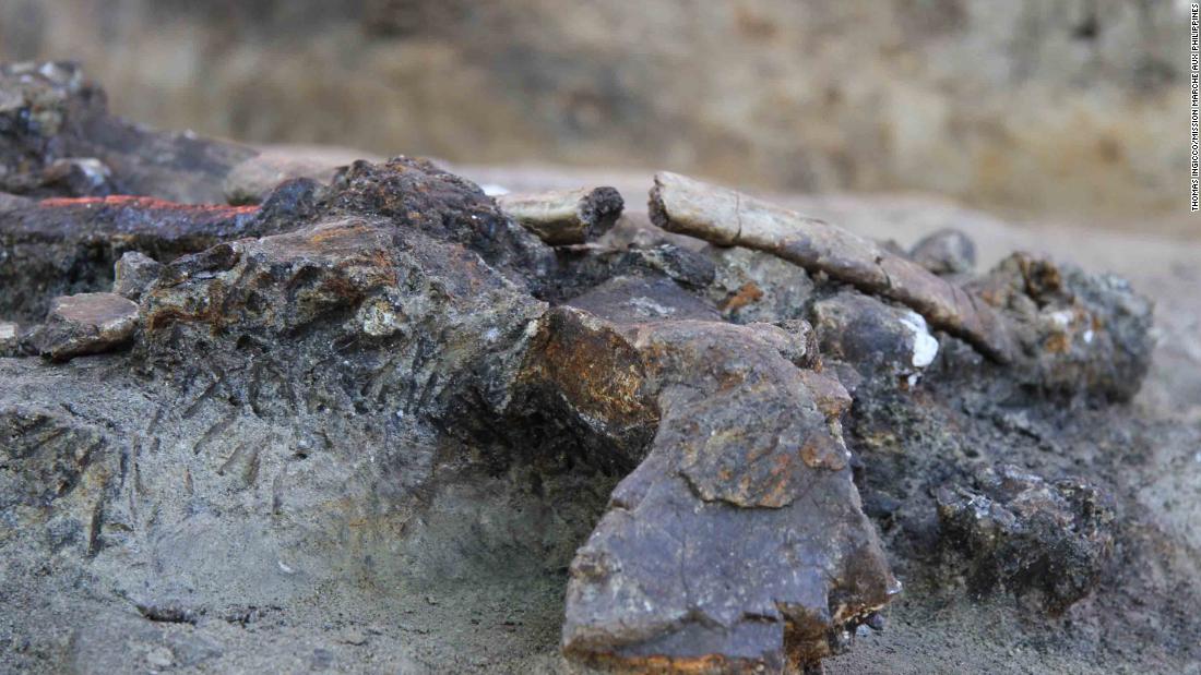 The remains of a butchered rhinoceros are helping researchers to date when early humans reached the Philippines. They found a 75% complete skeleton of a rhinoceros that was clearly butchered, with 13 of its bones displaying cut marks and areas where bone was struck to release marrow, at the Kalinga archaeological site on the island of Luzon.