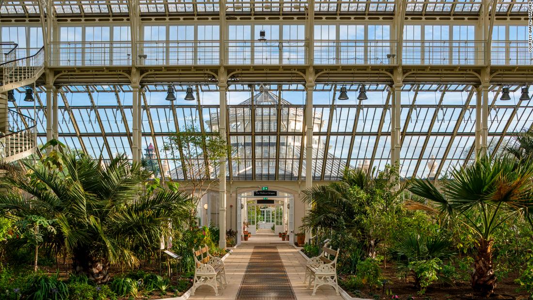 Kew Gardens' Temperate House reopens after $57M revamp - CNN Style