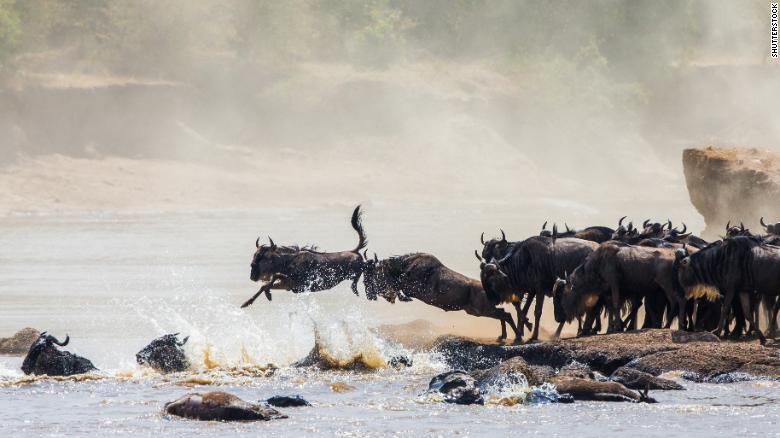 &lt;strong&gt;The Great Migration, Tanzania:&lt;/strong&gt; It&#39;s follow-the-leader time as wildebeests make a dangerous but necessary river crossing. Click through this gallery to see 24 more stunning locations you can visit in Africa: