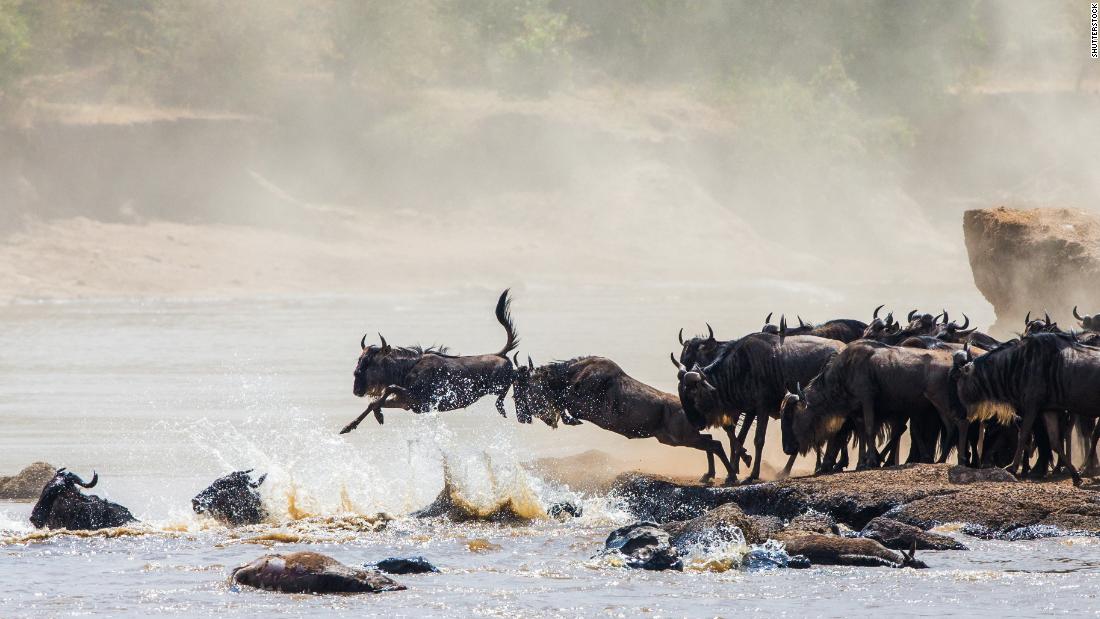 &lt;strong&gt;The Great Migration, Tanzania:&lt;/strong&gt; It&#39;s follow-the-leader time as wildebeests make a dangerous but necessary river crossing. Click through this gallery to see 24 more stunning locations you can visit in Africa: