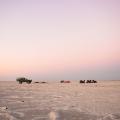 07 amazing places africa -  Makgadikgadi Pans