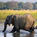 13 amazing places africa - lower zambezi