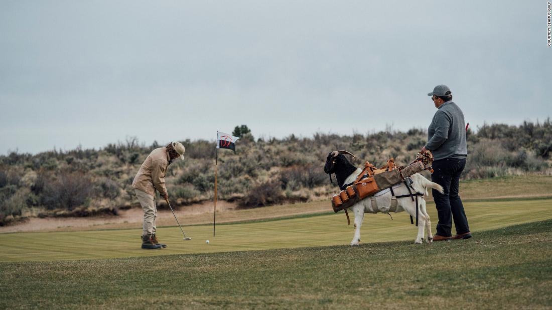 The ranch says the goat is trained to do all the things you would want a caddy to do -- without lying down on the job.