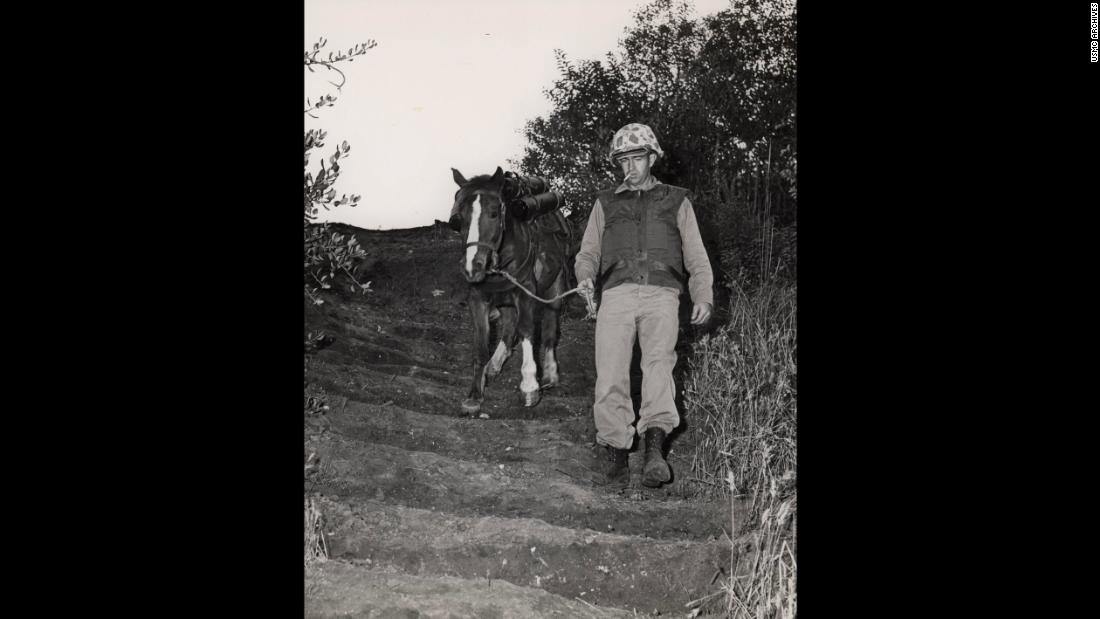 Sergeant Reckless Americas Greatest War Horse Cnn - 