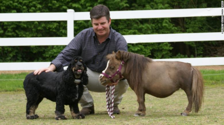 meet-big-jake-and-thumbelina-the-tallest-and-smallest-horse-in-the