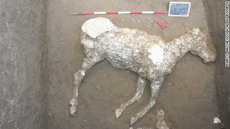 A special plaster casting technique enabled scientists to reconstruct the remains of a horse in Pompeii.