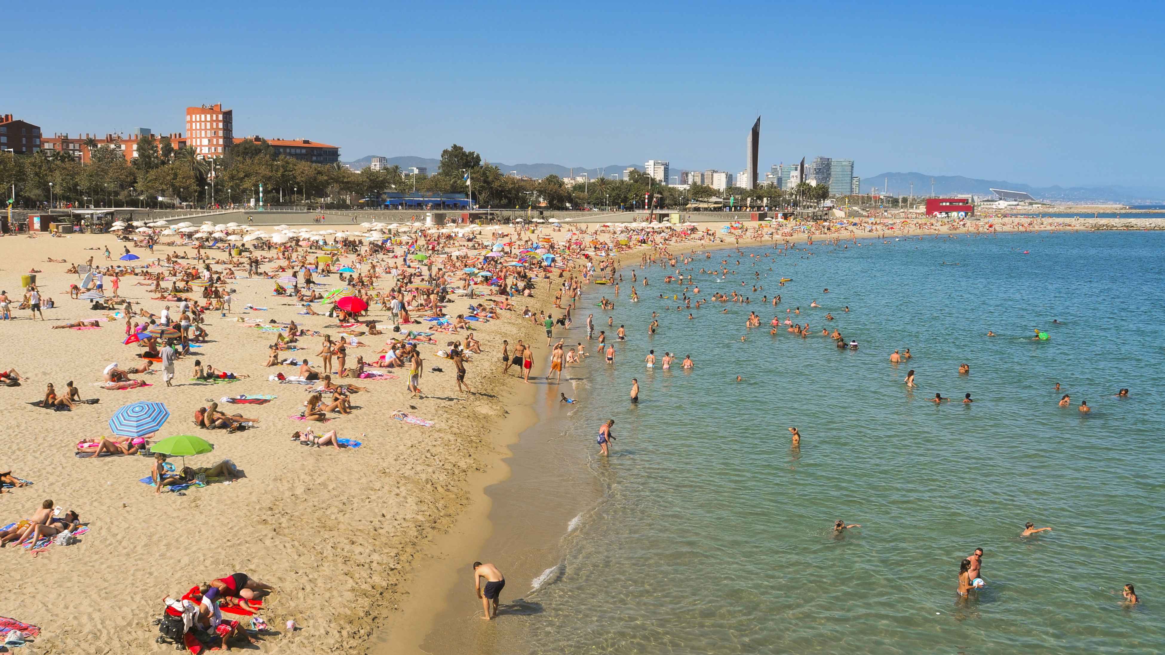 Nudo Peloso Nudo Sulla Spiaggia Di Fkk 18 Foto Porno Xxx Foto Di