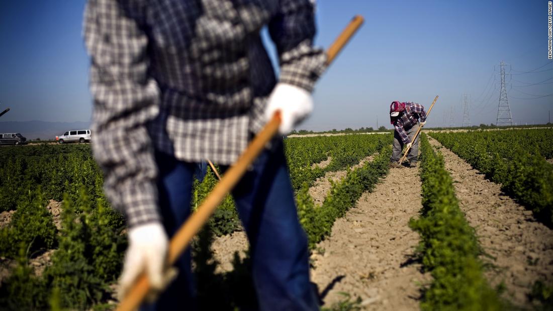 Central Valley farms are dependent on cheap migrant laborers, many of whom are undocumented.