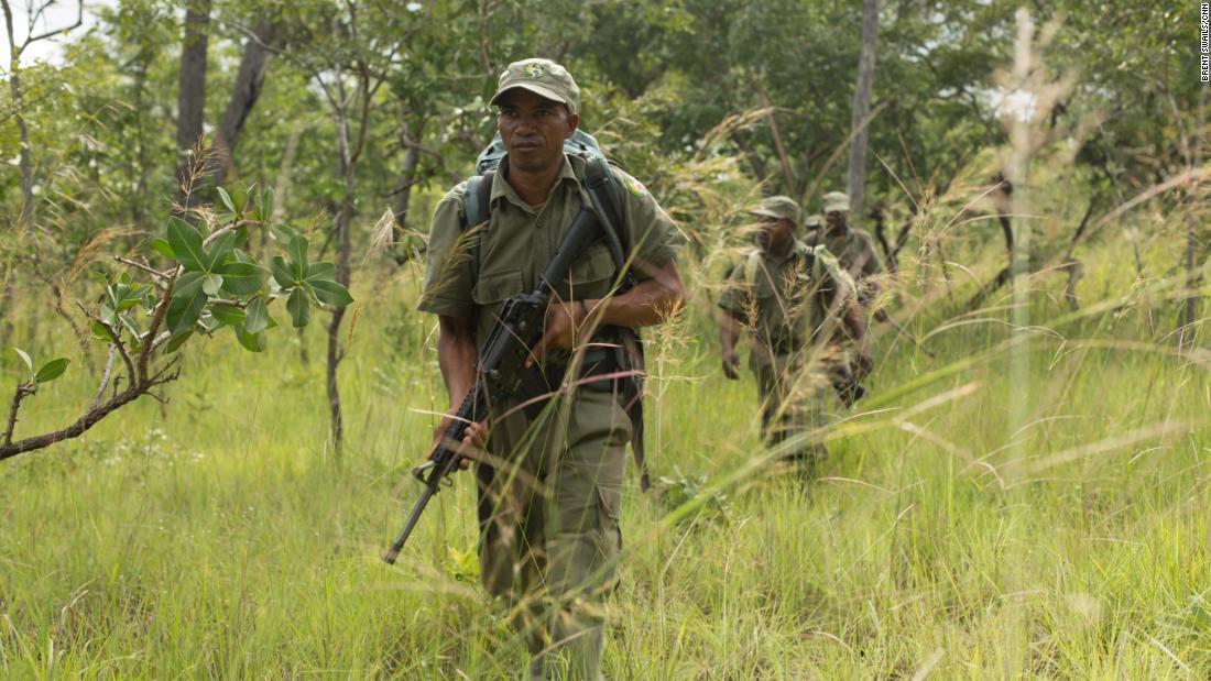 Mozambique-China - Pemba the place for illegal ivory deals ...