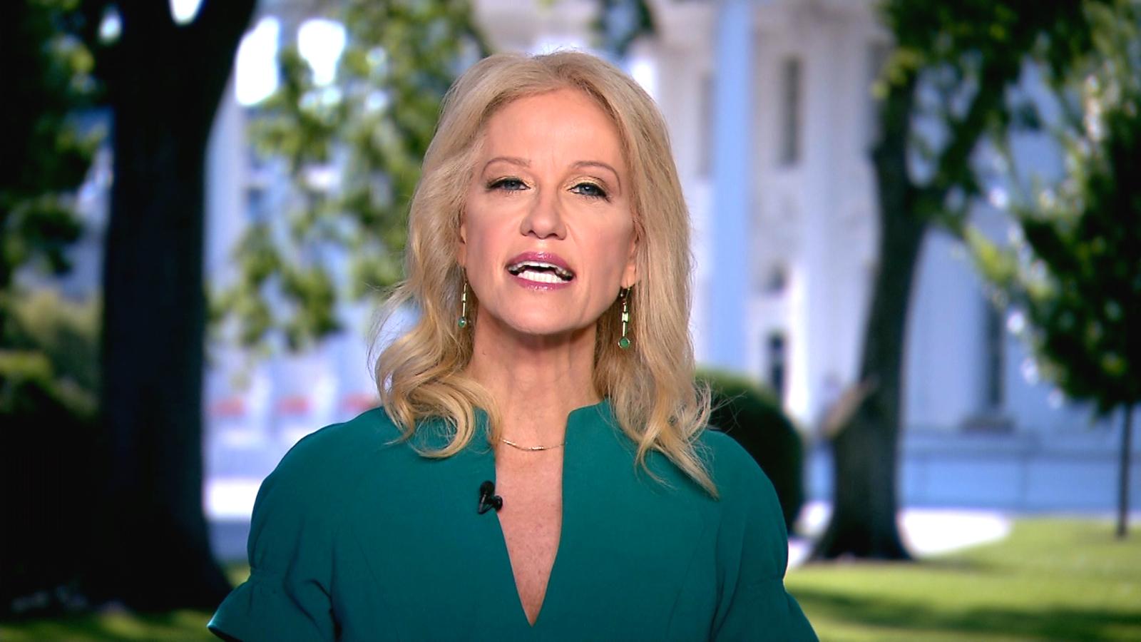 Who Is Trump Adviser Kellyanne Conway Cnn Video 2673