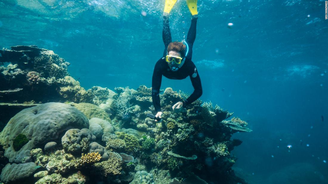 The outlook for the Great Barrier Reef has worsened from 'poor' to ...