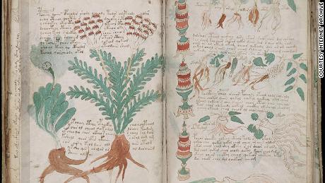 The mysterious Voynich manuscript: