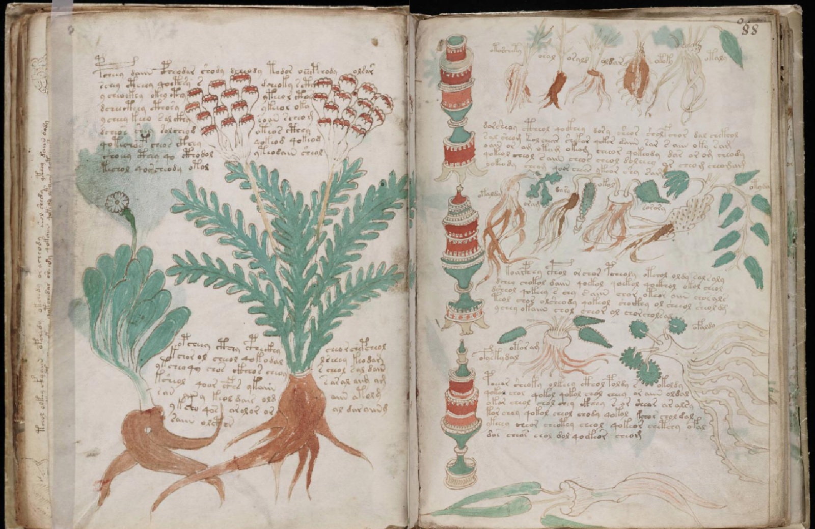 voynich manuscript online voynich manuscript online