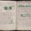 voynich manuscript 10