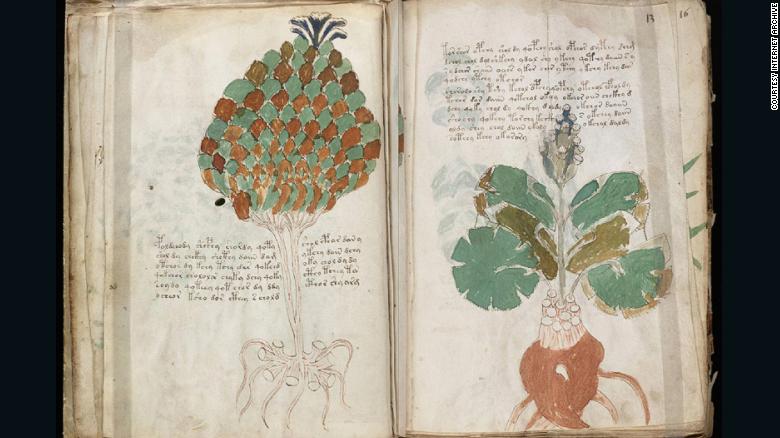 Some of illustrations in the book resemble known plants, others less so.