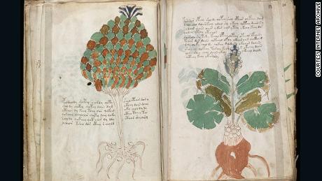 voynich manuscript solved stack voynich manuscript solved stack