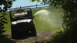 Summer campers face deadly ticks and mosquitoes