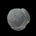scottish carved stone balls 2