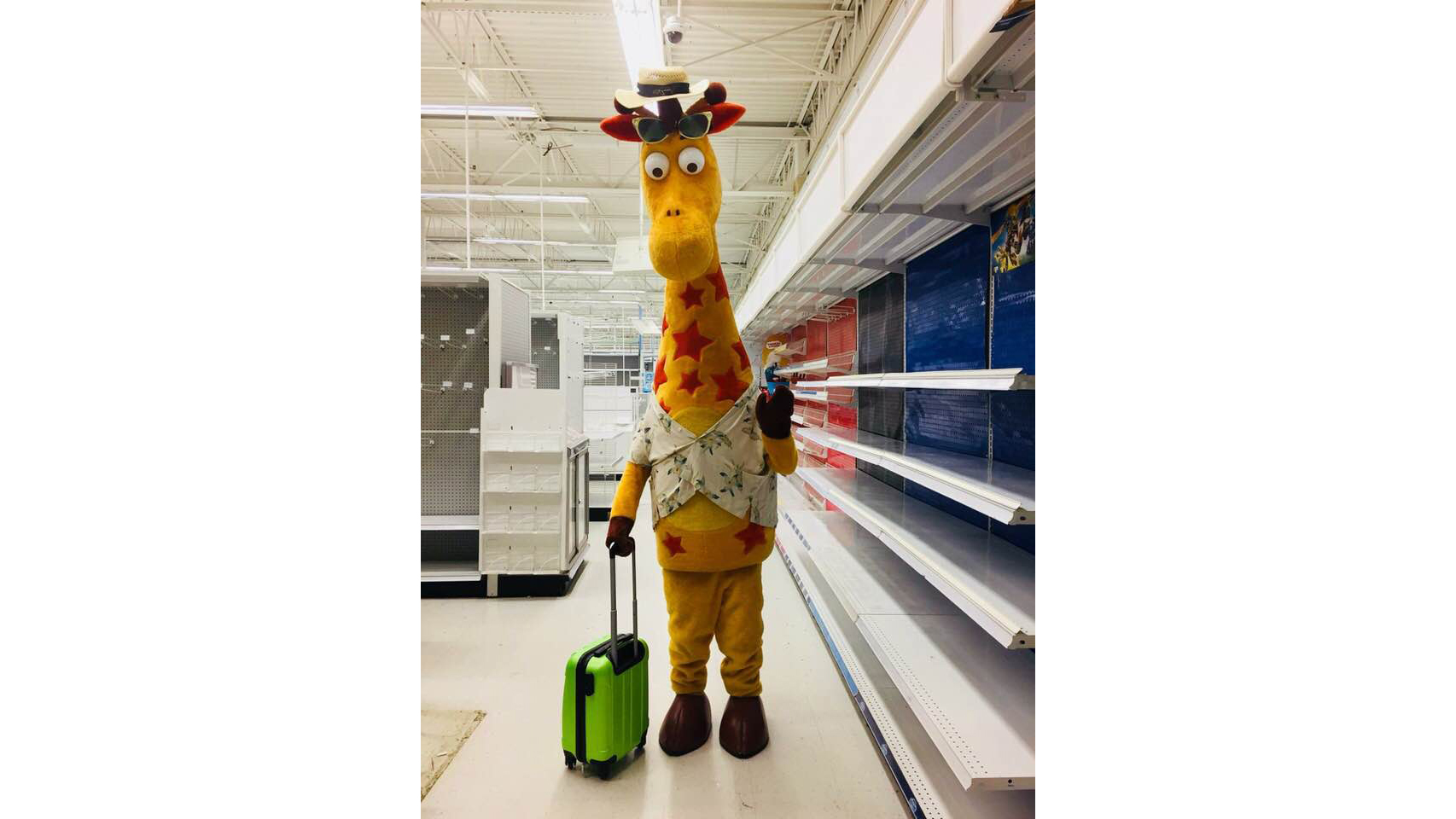 the toys r us giraffe