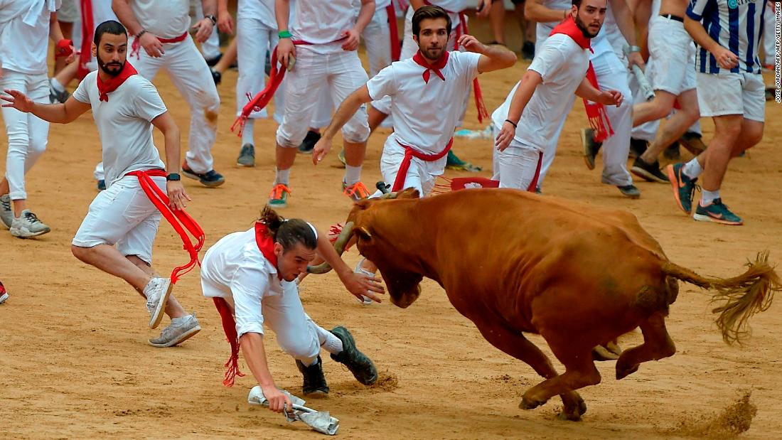 Image result for bull running