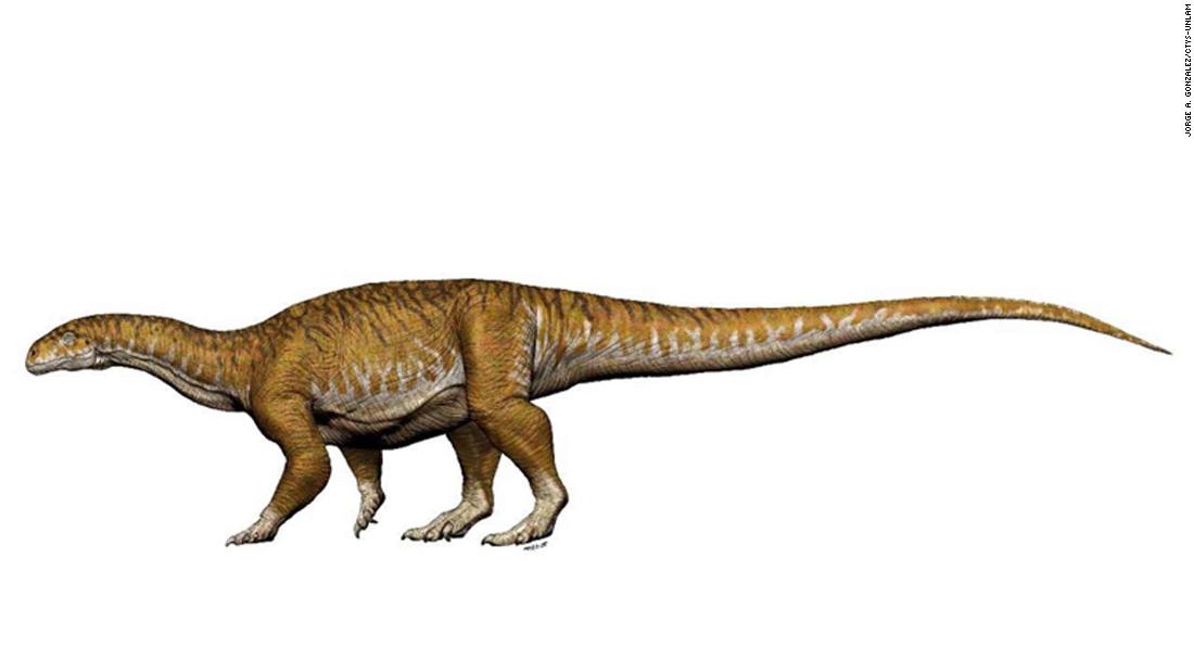Newly Discovered Fossils Suggest Giant Dinosaurs Evolved Millions Of 7700
