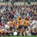 australia 1991 rugby world cup