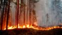 Wildfires and deadly heat waves around the world