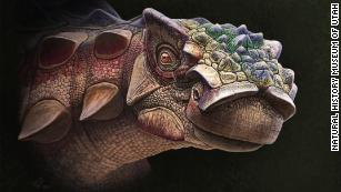 Newly discovered armored dinosaur lived on a lost continent