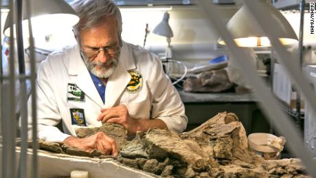 Museum volunteer Randy Johnson prepares the skull.