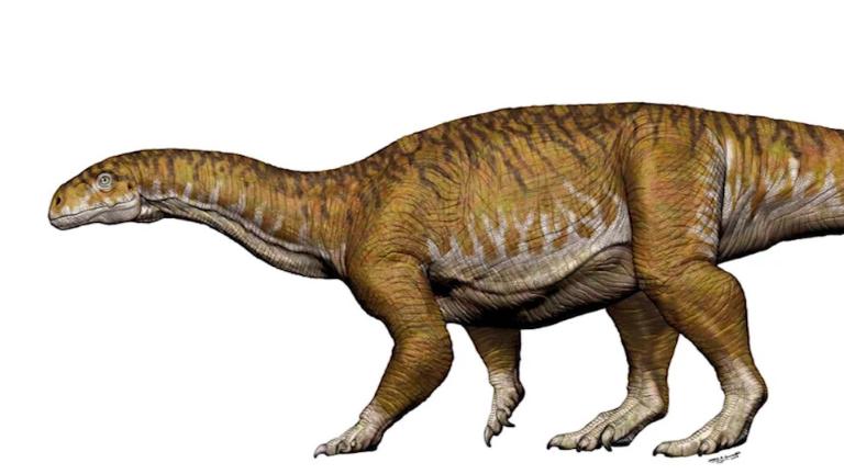 Por qué se extinguieron los dinosaurios? Este nuevo estudio dice tener la  respuesta definitiva | CNN