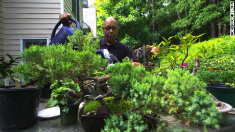 Gardening becomes healing with horticultural therapy