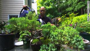 Gardening becomes healing with horticultural therapy