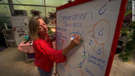 Horticultural therapist Libba Shortridge describes the life cycle of a seed to a group at Skyland Trail, a mental health treatment center in Atlanta. 