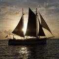 Sailing-Lista Light