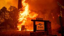 The Carr Fire tears through Shasta, Calif., Thursday, July 26, 2018. Fueled by high temperatures, wind and low humidity, the blaze destroyed multiple homes and at least one historic building. (AP Photo/Noah Berger)