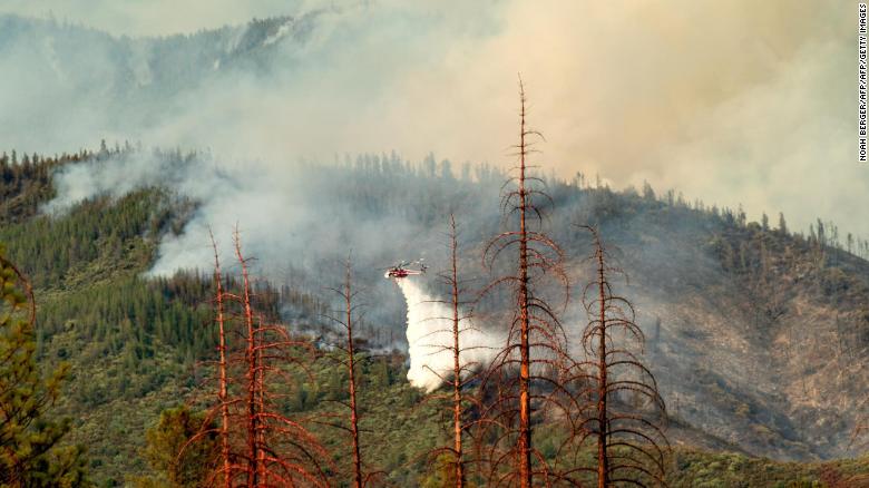 As grasses have been replaced by shrubs and trees in California, the risk of large fires -- such as this one that took place in the Stanislaus National Forest on July 22, 2018 -- has grown.