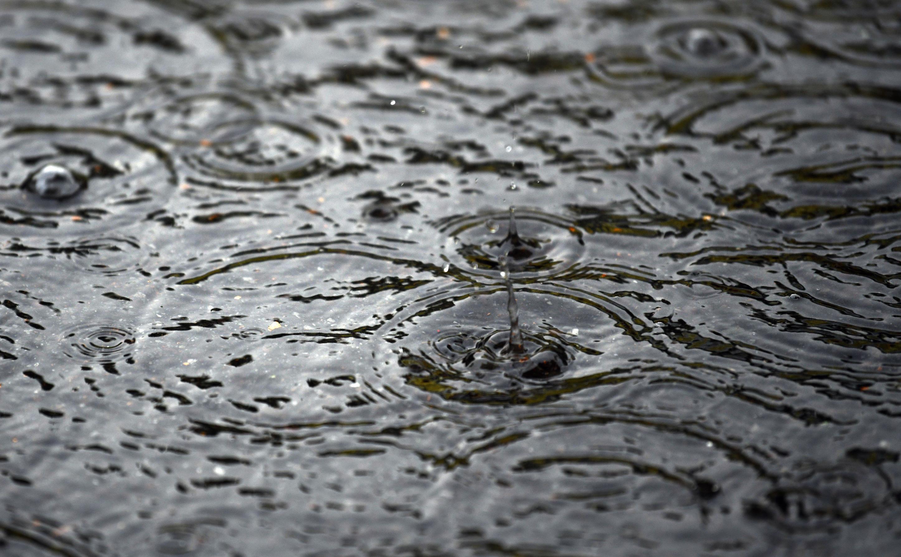 It is raining plastic': Scientists find colorful microplastic in rain | CNN