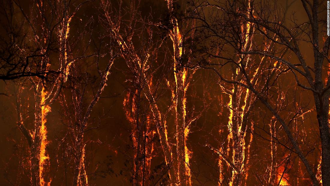 Flames from the Carr Fire burn through trees near Whiskeytown on July 27.