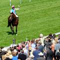 goodwood racecourse frankel